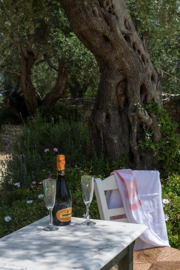 גאיוס Villa Elaia Suites & Apartments No.5 מראה חיצוני תמונה