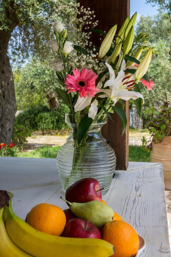 גאיוס Villa Elaia Suites & Apartments No.5 מראה חיצוני תמונה